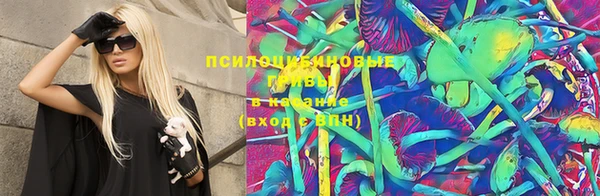 ALPHA-PVP Новозыбков